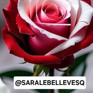 Rebundle: @SARALEBELLEVESQ